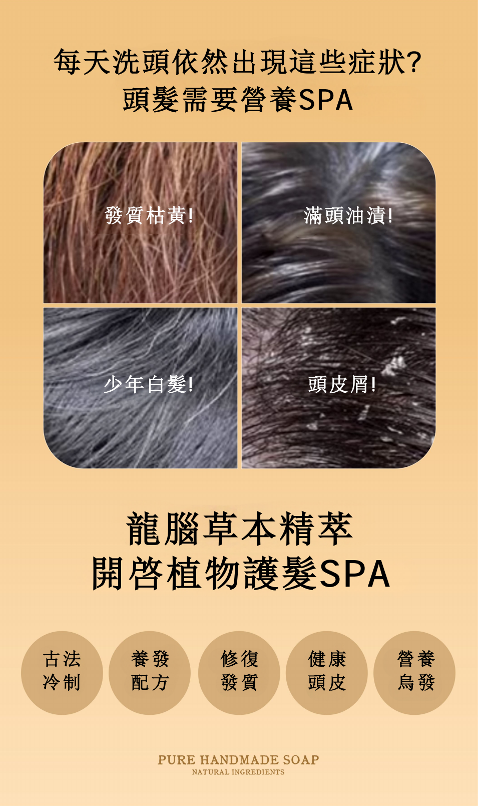 陳皮龍腦烏髮皂