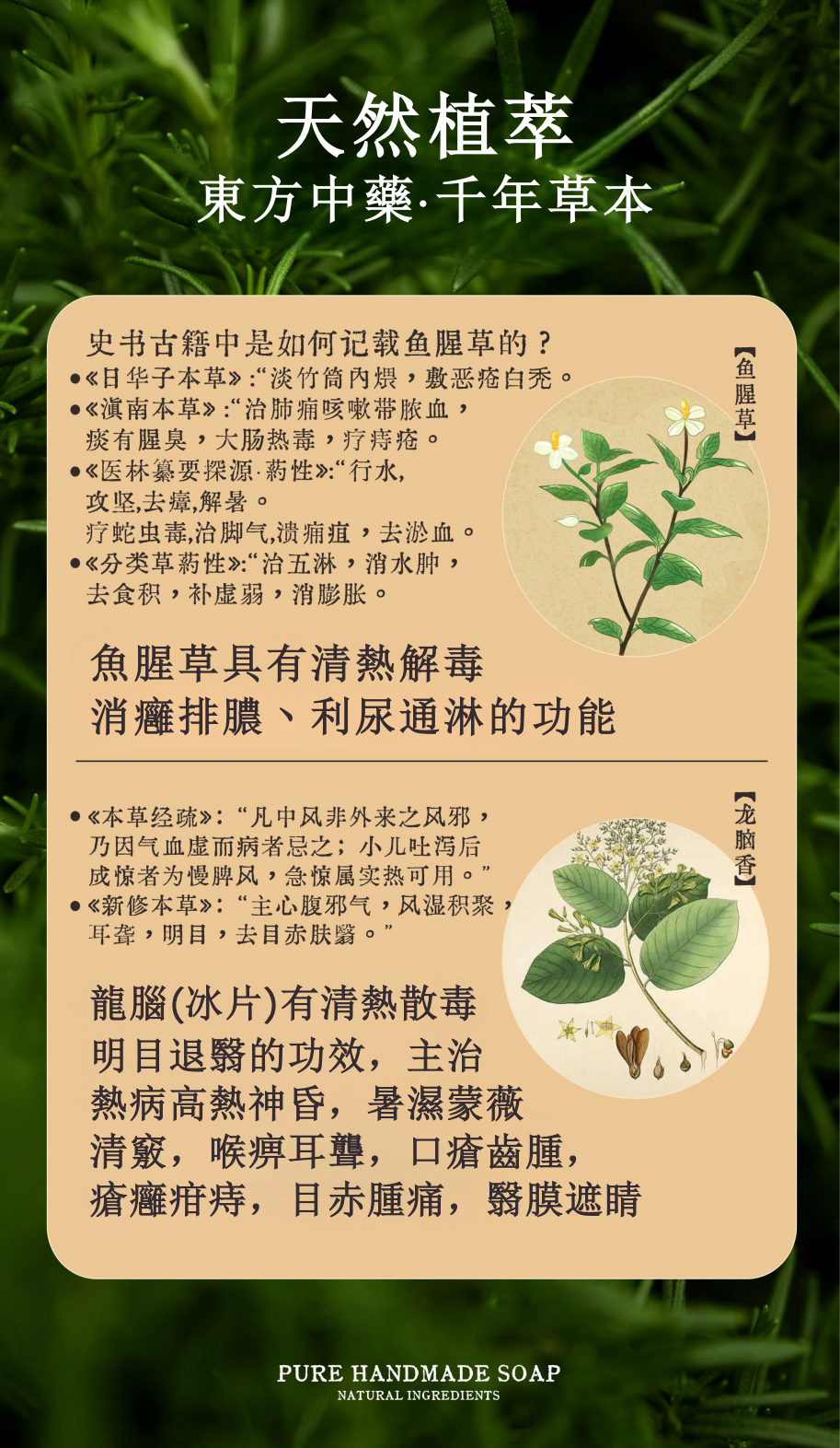 陳皮魚腥草冷皂