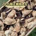 2016梅江圈枝斷片大紅皮新會陳皮十年